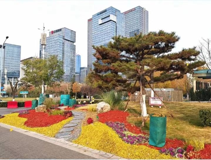 济南市园林和林业绿化局 图闻 冬日里的五彩画卷:园林绿化废弃物变身景观新宠